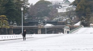 जापान की राजधानी टोक्यो में भारी बर्फबारी, सड़क, र...