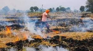 ग्वालियरः जिले में फसलों के अवशेष जलाने पर पूर्ण...
